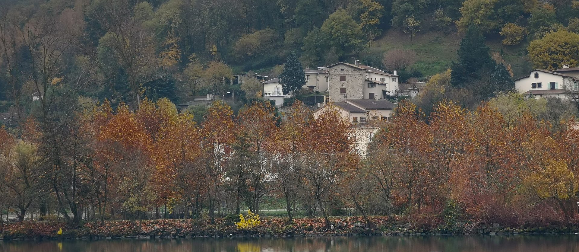 Les coteaux boisés de Saint-Romain-en-Gal en automne, au bord du Rhône